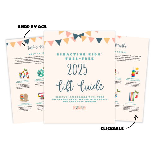 2025 Gift Guide Form Graphic (1)